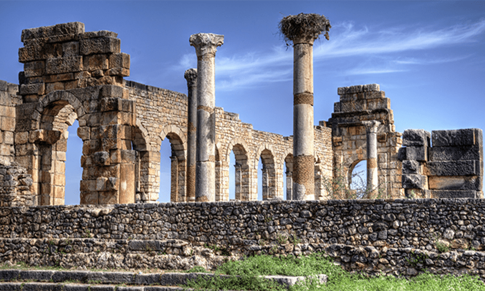Day trip from Fes to Meknes and Volubilis