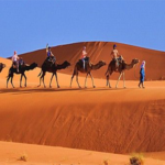 7 days from Marrakech to Fes Desert tour
