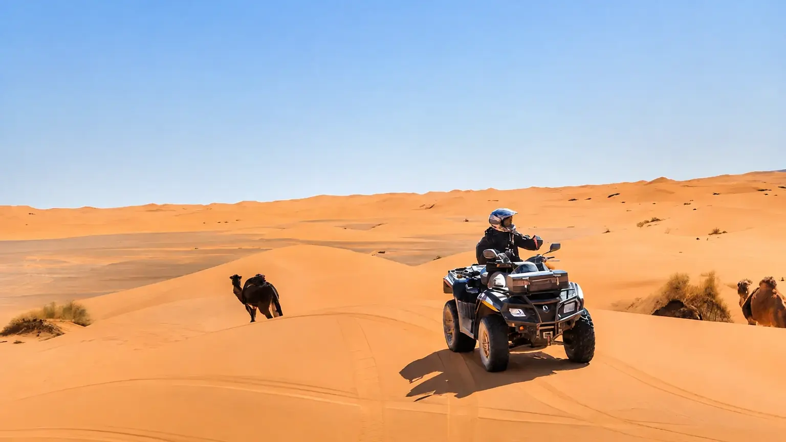 Merzouga Desert Camp: 7 Important Questions Before You Book