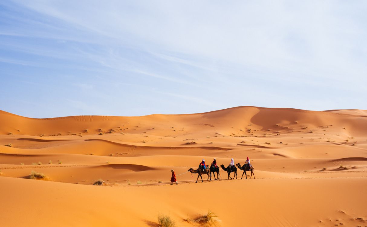 Travelers riding camels across the golden sand dunes of Erg Chebbi near Merzouga, Morocco